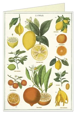  Citrus  Card